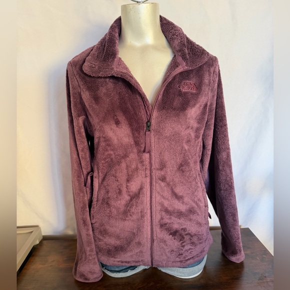 The North Face Jackets & Blazers - The North Face Women's Plush Purple Teddy Jacket